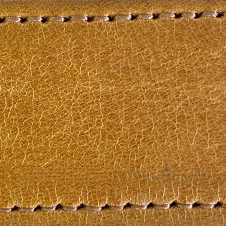goldenrod 1