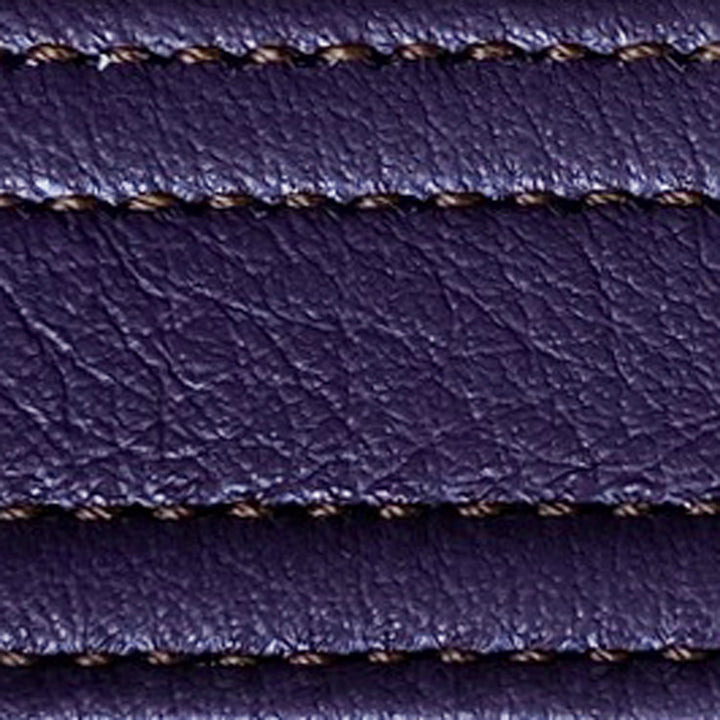 hosta | hosta strap swatch